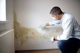 Best Real Estate Mold Inspection  in La Puente, CA